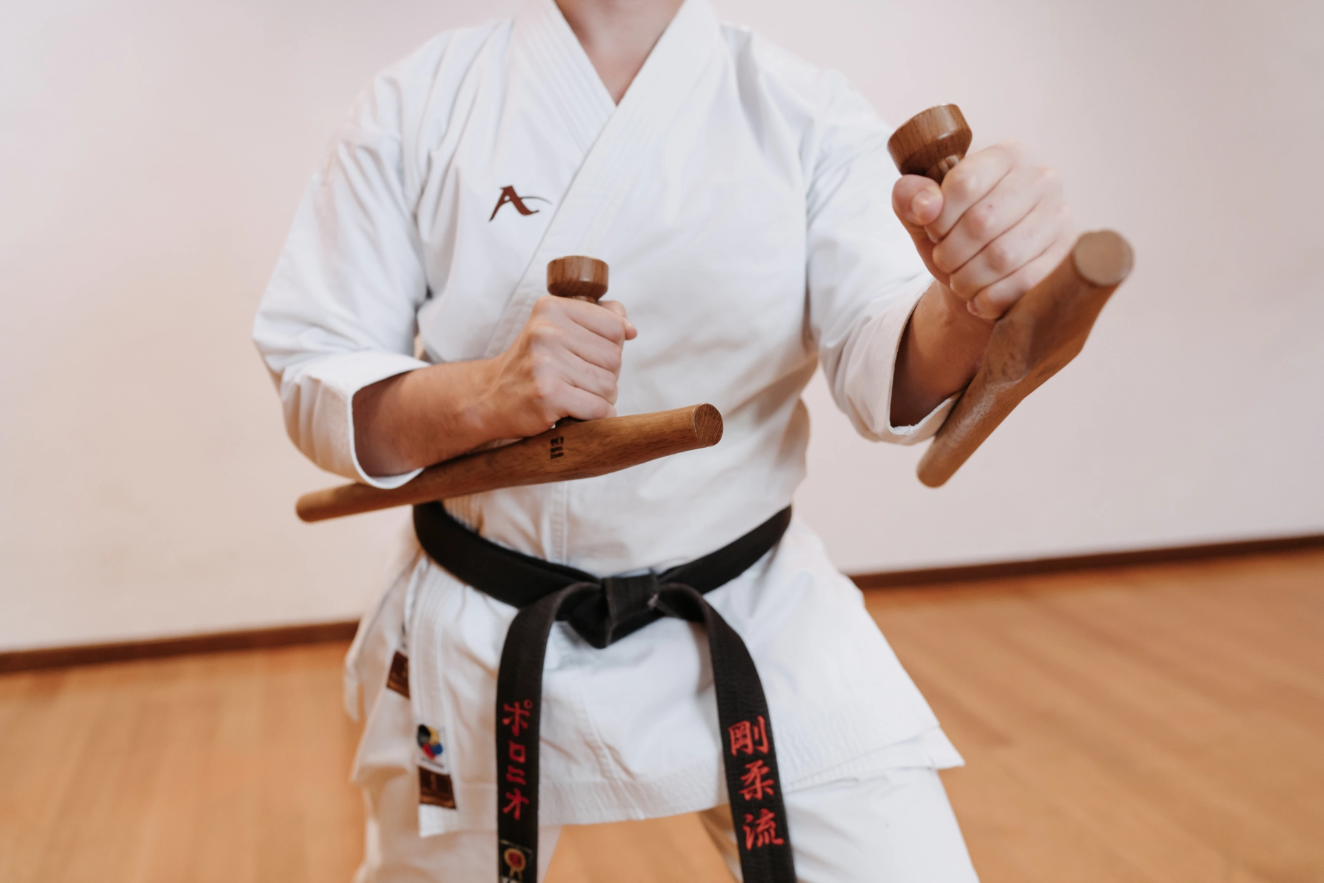 kobudo-aska-albignasego-2