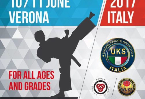 Black Belt Cup 2017